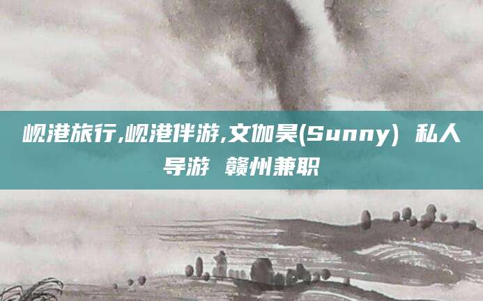 永州岘港旅行,岘港伴游,文伽昊(Sunny) 私人导游 赣州兼职