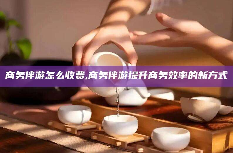 永州商务伴游怎么收费,商务伴游提升商务效率的新方式